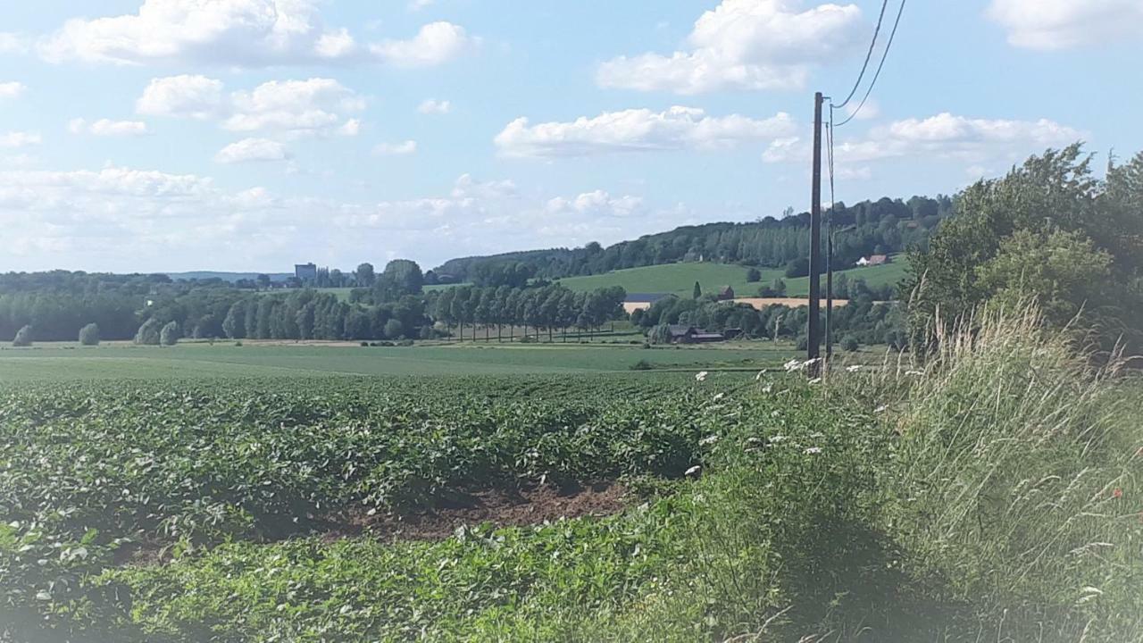 Alter Ego La Maison De Vacances, Au Pays Des Collines Villa Frasnes-lez-Anvaing Eksteriør bilde